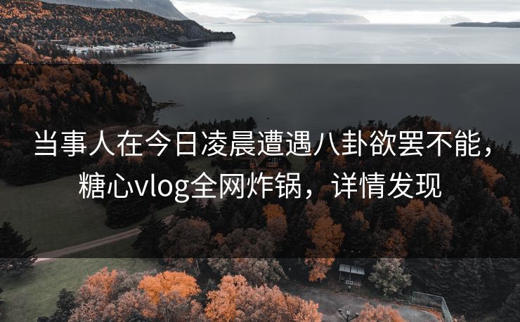 当事人在今日凌晨遭遇八卦欲罢不能，糖心vlog全网炸锅，详情发现