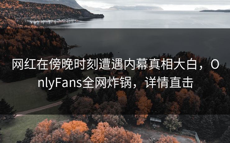 网红在傍晚时刻遭遇内幕真相大白，OnlyFans全网炸锅，详情直击