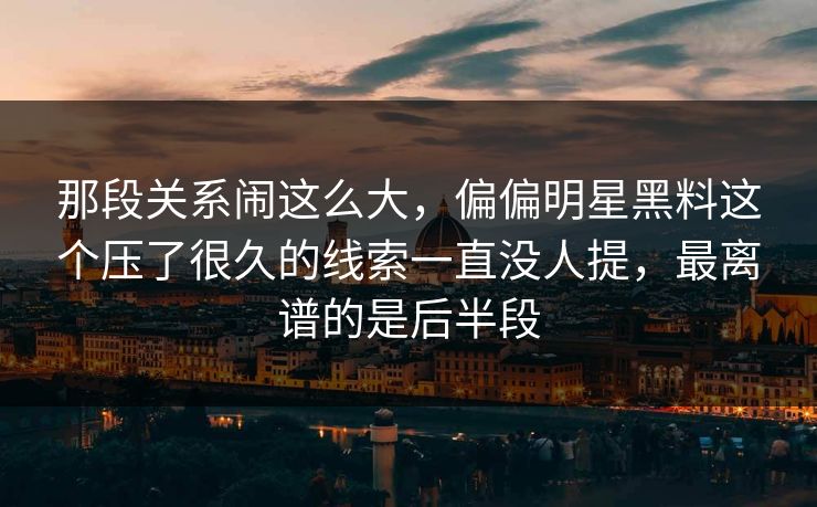 那段关系闹这么大，偏偏明星黑料这个压了很久的线索一直没人提，最离谱的是后半段